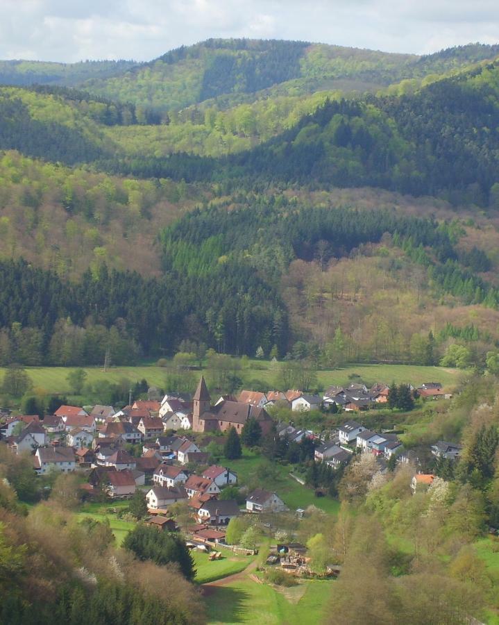 Ferienhütte Stephanie Niederschlettenbach Exterior foto